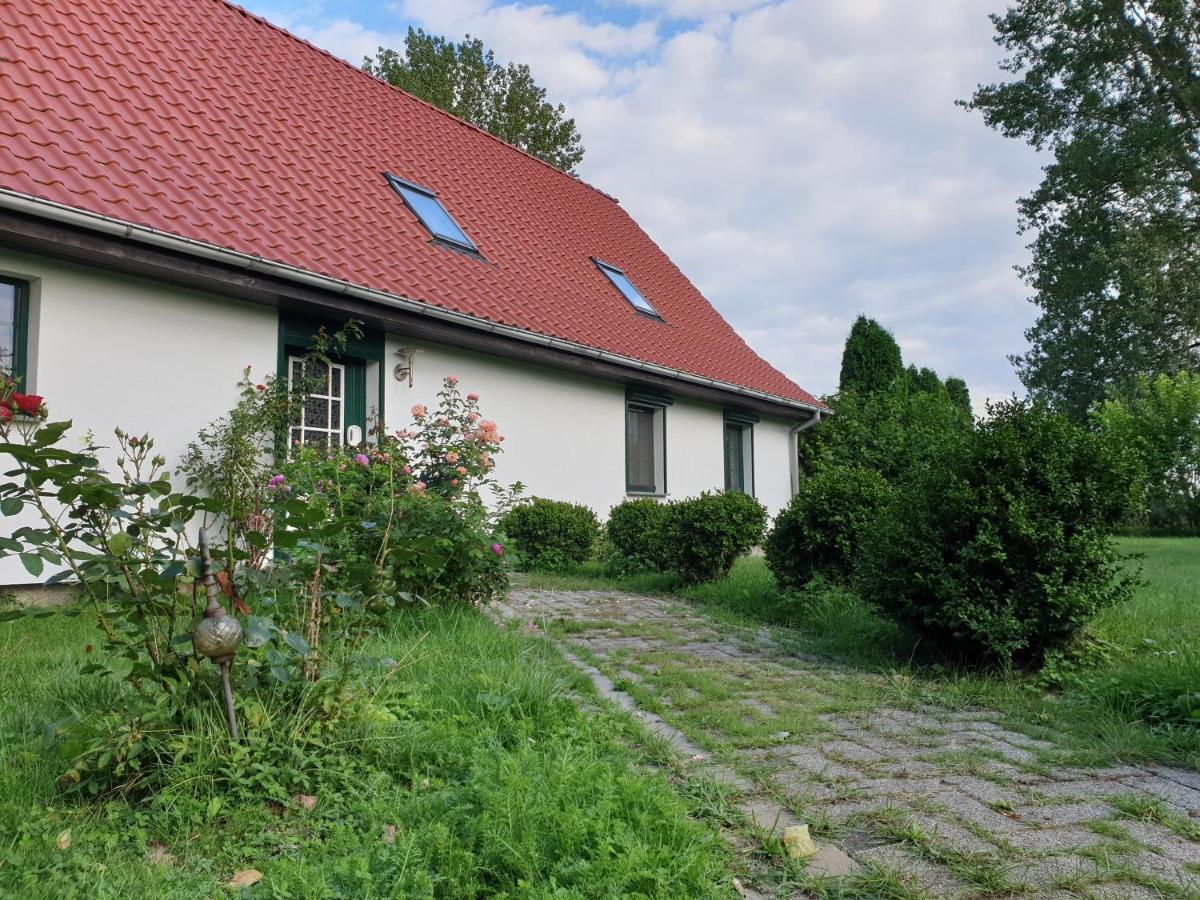 Oeko-Ferienhaus Rappin Exterior foto